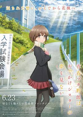 精品视频区