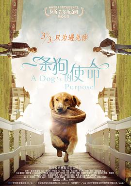 插插宗合网