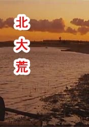 日韩国产激情