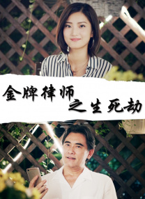 亚洲精品国产v片在线观看