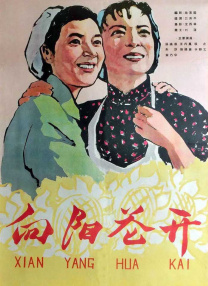 台湾18电影网